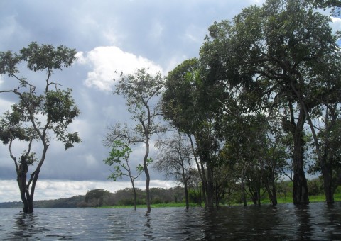 Adolescente de 16 anos desaparece após se afogar em balneário do Amazonas