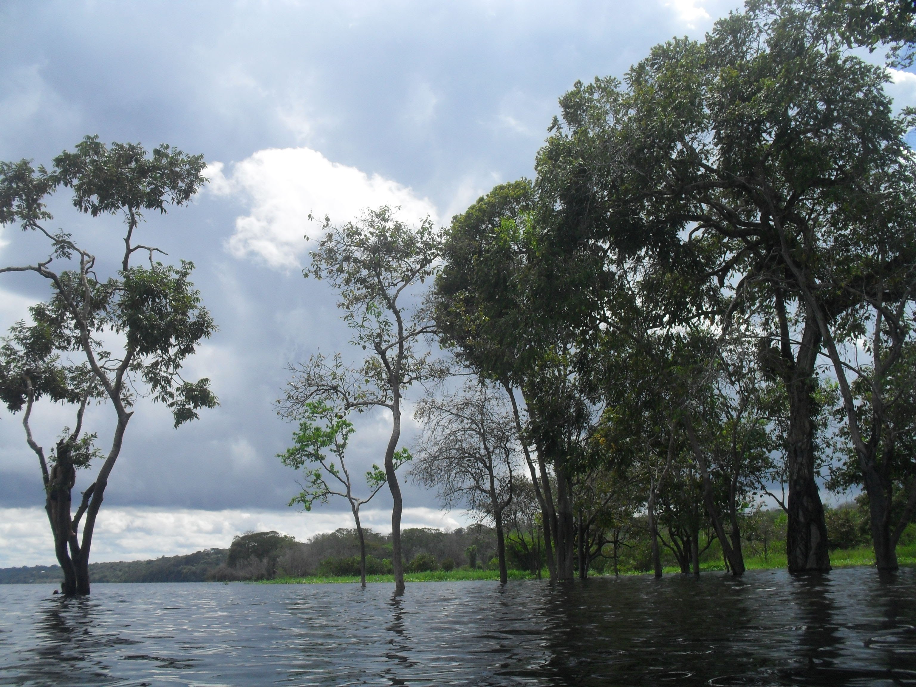 Adolescente de 16 anos desaparece após se afogar em balneário do Amazonas