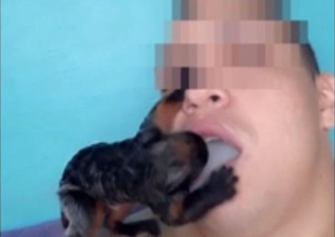 Em Manaus, homem é detido após vídeo de macaco fumando maconha viralizar na internet