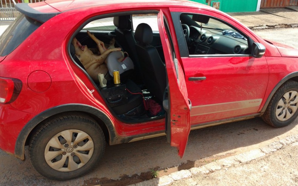 Motorista bêbado é preso após transportar porco morto em cadeirinha de bebê 