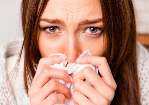 Planta medicinal é super eficiente no combate a problemas respiratórios