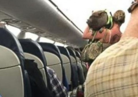 Passageira é retirada de avião por motivo inusitado