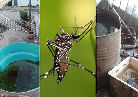 Susam alerta população para criadouros do Aedes aegypti em período chuvoso