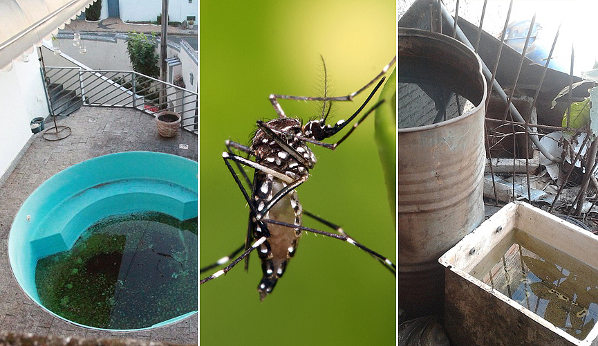 Susam alerta população para criadouros do Aedes aegypti em período chuvoso