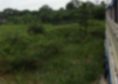 Barco fica 'encalhado' com 300 passageiros no Amazonas