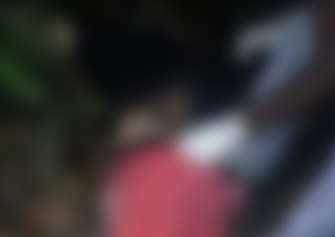 Com rosto desfigurado e mãos amarradas, homem é encontrado morto em ramal de Manaus