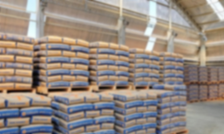 Disfarçada de clientes, dupla invade e rouba R$ 8 mil de distribuidora de cimento em Manaus