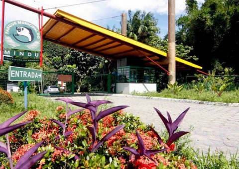 9ª edição da Feira Criativa acontece neste sábado no Parque do Mindu