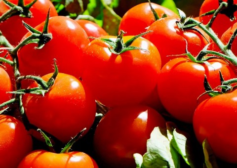 Atirando tomates, homem tenta invadir Planalto nesta sexta-feira 