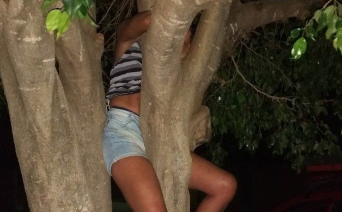 Sem aceitar fim de namoro, jovem tenta invadir casa de ex e fica presa em árvore