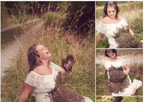Gestante faz ensaio com milhares de abelhas e o pior acontece com bebê