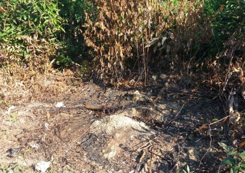 Carbonizado, corpo de homem é encontrado em ramal de Manaus