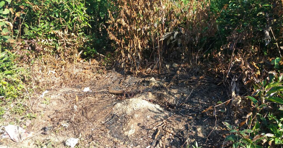 Carbonizado, corpo de homem é encontrado em ramal de Manaus