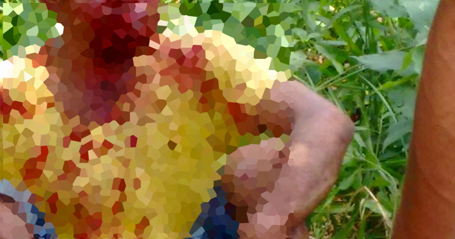 Populares flagram homem tentando estuprar menina em mato e o espancam em Manaus