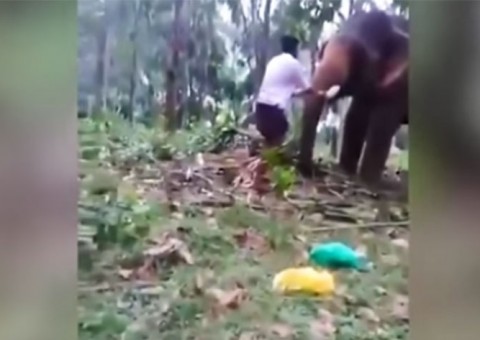 Jovem tenta subir em tromba de elefante e o que acontece com ele deixa todos chocados