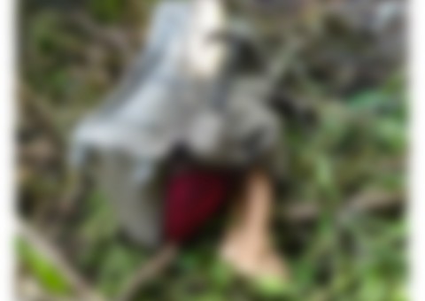 Corpo de jovem é encontrado dentro de mala em Manaus