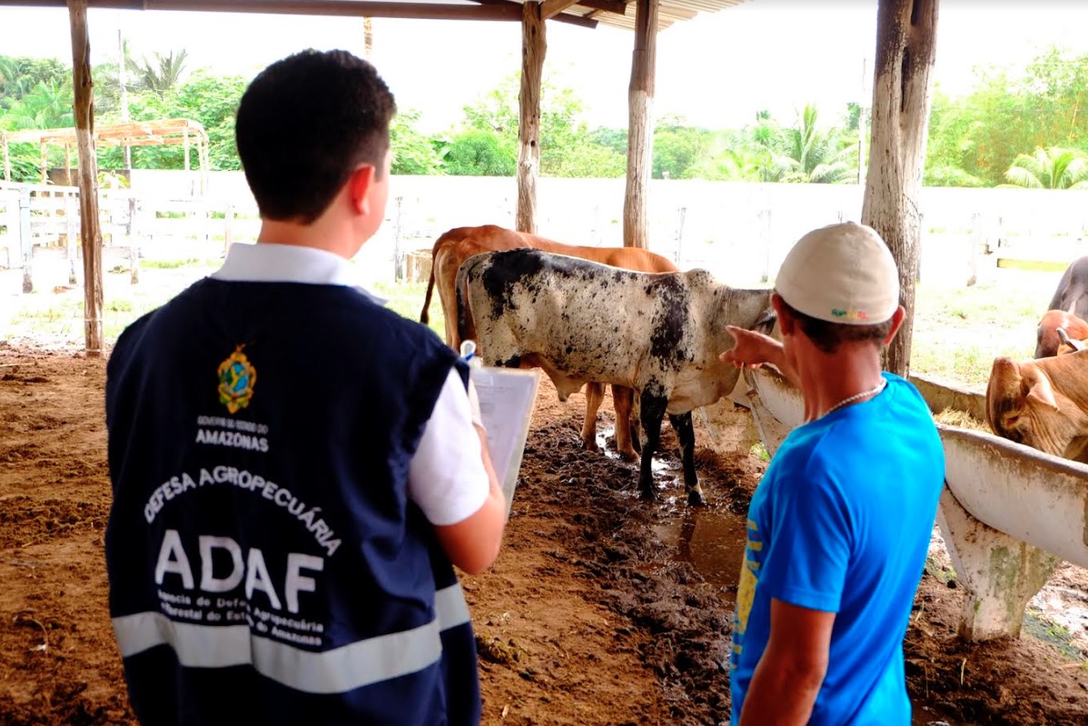 Pecuaristas têm até esta quinta-feira para adquirirem a vacina contra febre aftosa