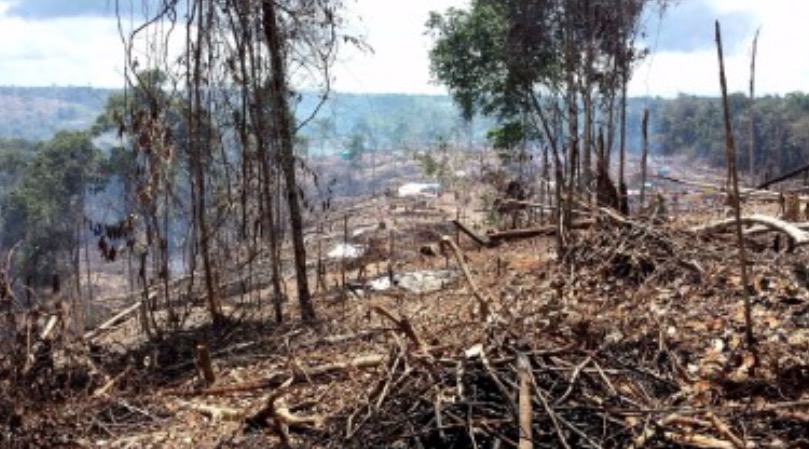 SPF pede devolução de área da Suframa em beneficio de 700 famílias 