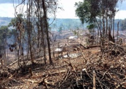 SPF pede devolução de área da Suframa em beneficio de 700 famílias 