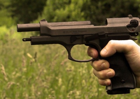 CCJ do Senado aprova compra de arma de fogo por moradores de áreas rurais