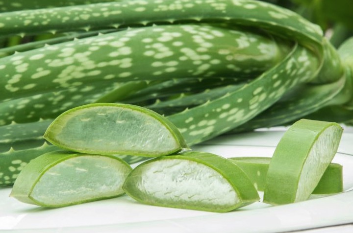 Conheça 10 poderosos tratamentos caseiros usando a babosa e economize nos remédios 