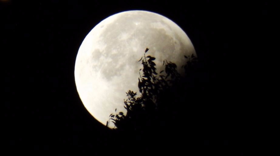 Última superlua do ano poderá ser vista neste domingo