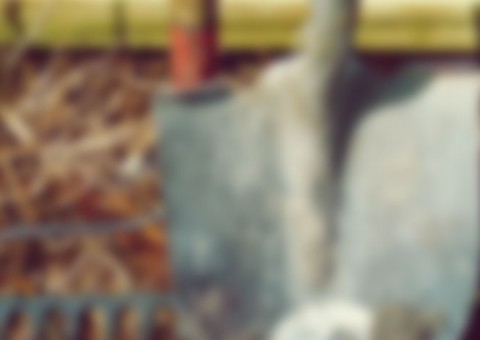 Pai espanca filho com pá durante briga em Manaus