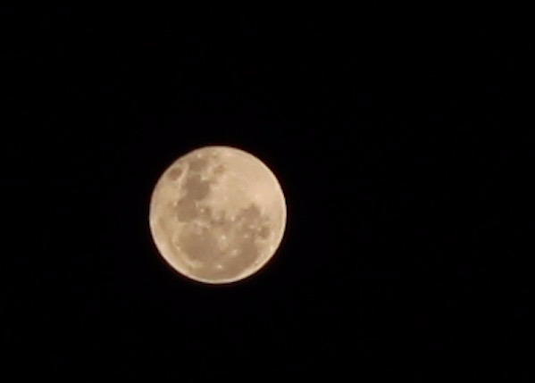 Veja imagens inéditas da Superlua no céu de Manaus