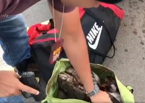 Funcionário usa carro de empresa para transportar 11kg de drogas e é preso