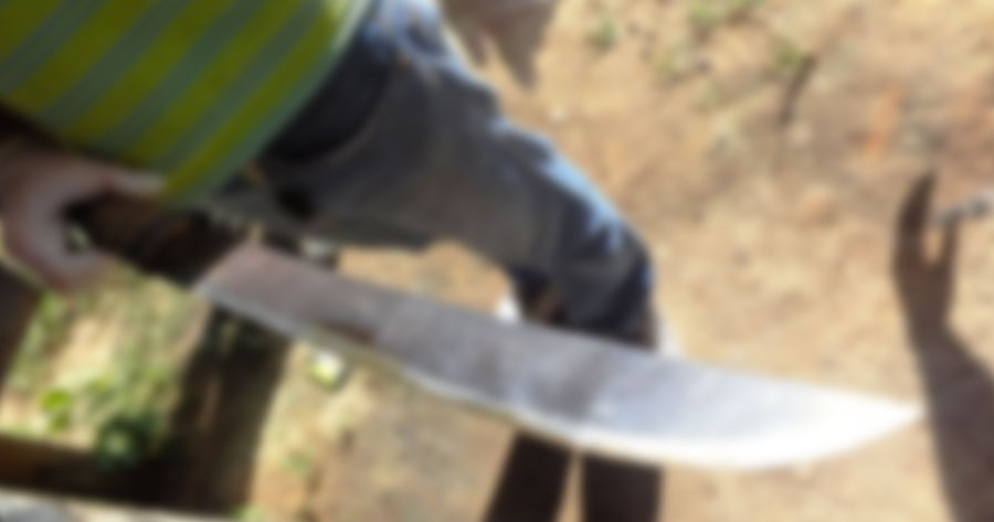 Com medo de ribeirinho com terçado, turista se perde em floresta no Amazonas