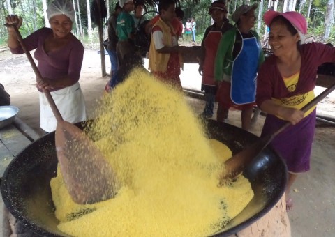 Mais de R$ 40 milhões podem beneficiar agricultores do Amazonas com parceria entre Idam e Basa