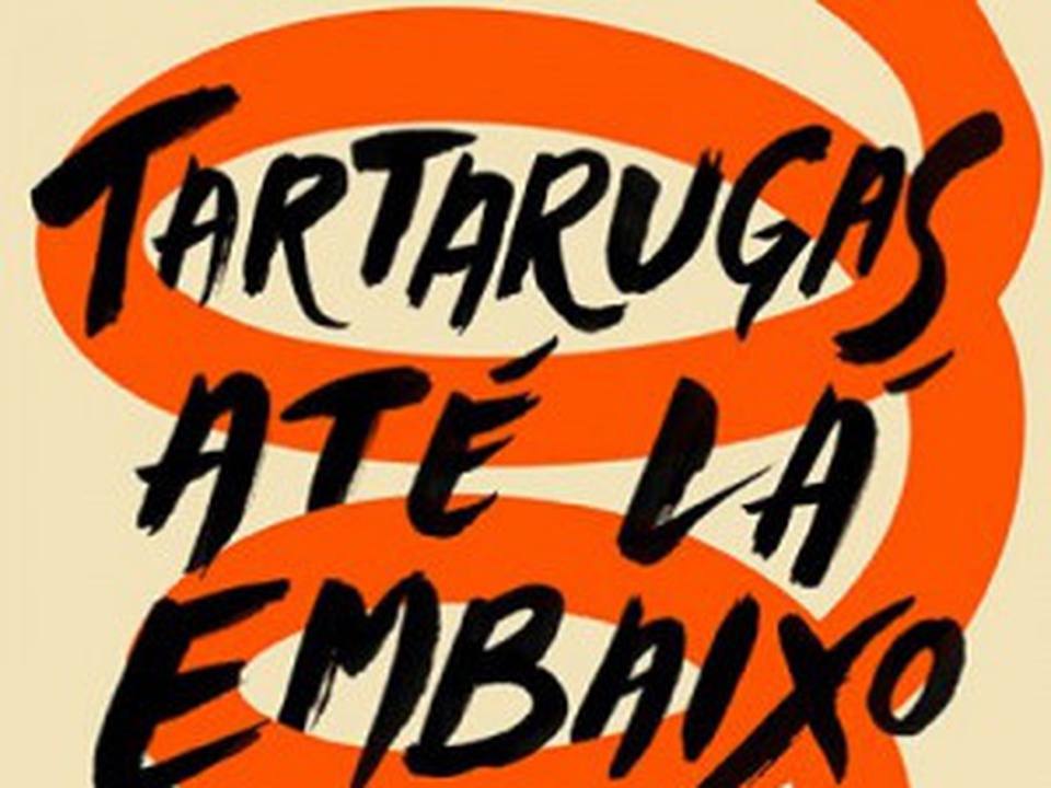 Tartarugas Até lá Embaixo: Novo livro de John Green vai virar filme