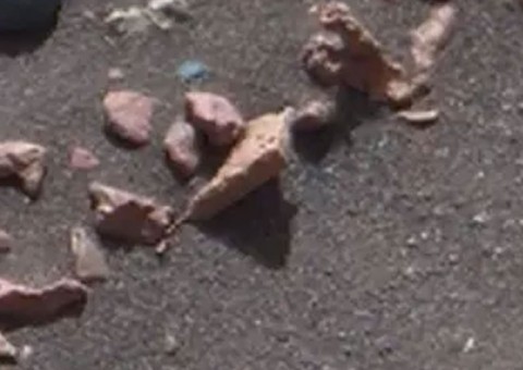 Detalhe em foto da Nasa pode revelar que existe vida em Marte