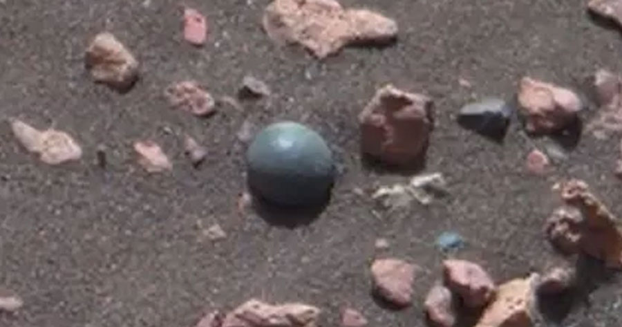 Detalhe em foto da Nasa pode revelar que existe vida em Marte