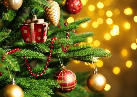 Natal Vieiralves terá Papai Noel, foodbikes e show musical