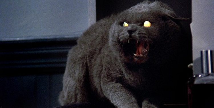 Remake de Cemitério Maldito ganha data de estreia