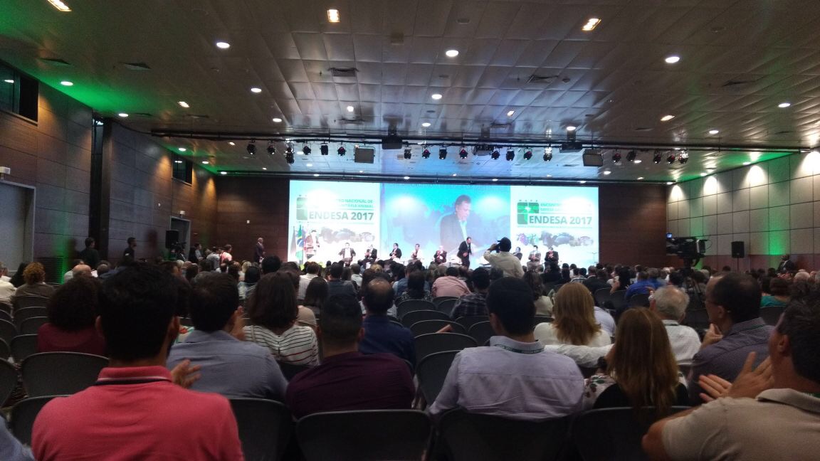 Governo articula a entrada do Estado na elite da pecuária brasileira