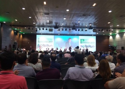 Governo articula a entrada do Estado na elite da pecuária brasileira