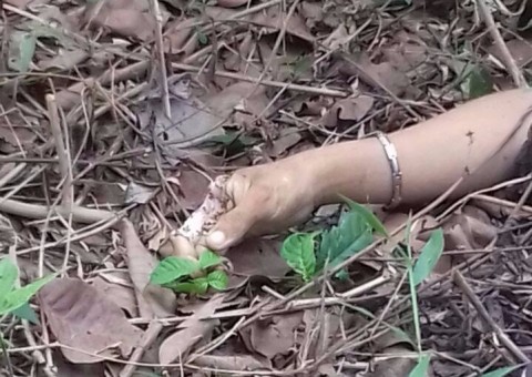 Corpo de adolescente é encontrado com faca cravada no peito no Amazonas