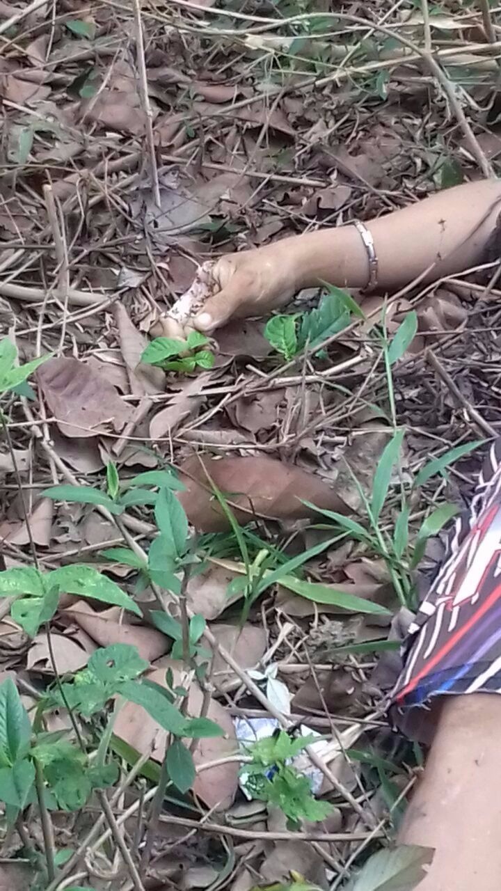 Corpo de adolescente é encontrado com faca cravada no peito no Amazonas