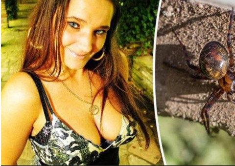 Jovem é picada por aranha e faz apelo para sobreviver