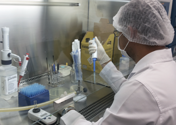 FHemoam inicia Centro de trabalho com células-tronco no Amazonas