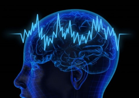 Conselho Federal de Medicina muda critérios para determinar morte encefálica 