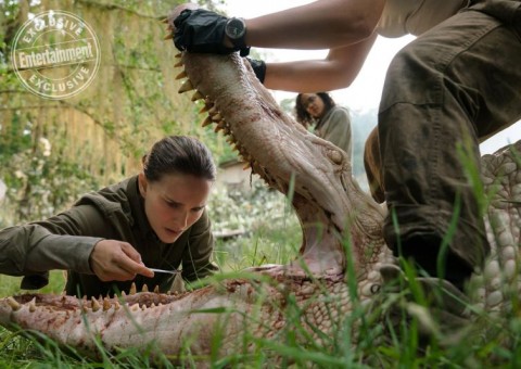 Natalie Portman enfrenta algo assustador no novo trailer de Aniquilação 