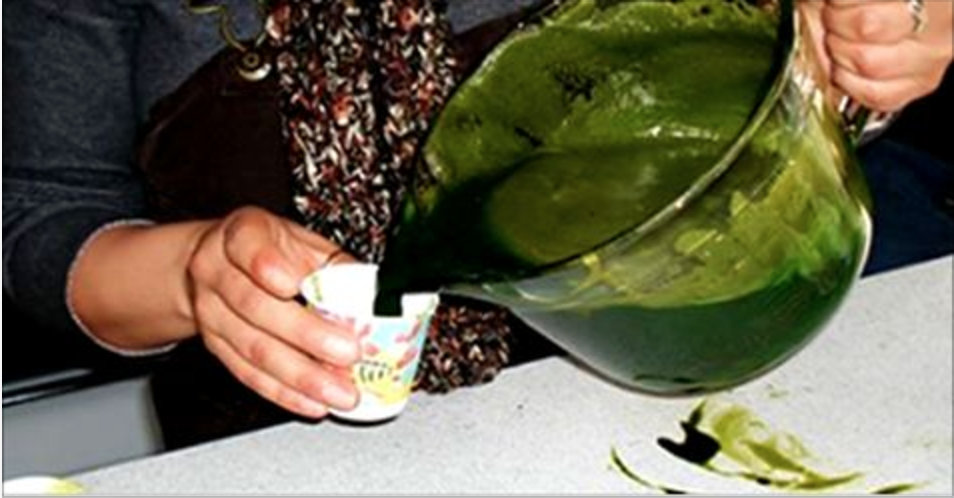 Cientistas descobrem que suco desta erva pode destruir células do câncer em menos de 24 horas