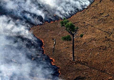 Brasil termina 2017 com número recorde de queimadas