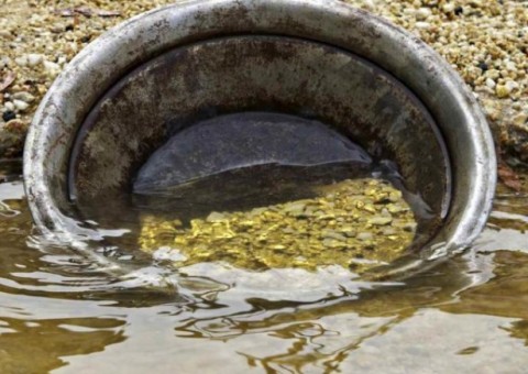 MPF pede suspensão de licenças do Ipaam para garimpo no Amazonas 