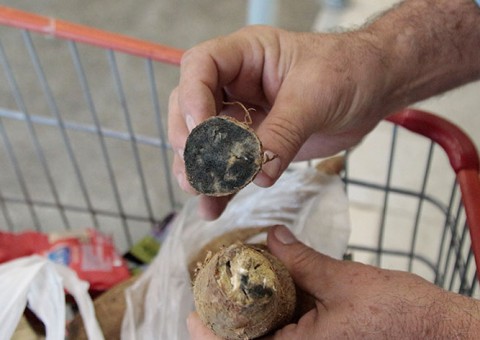 Supermercado famoso é interditado após fiscalização encontrar diversas irregularidades em Manaus