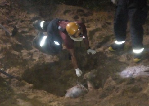 Corpo é encontrado enterrado de cabeça para baixo em terreno abandonado de Manaus