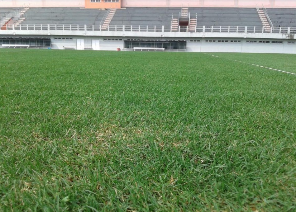 Gramados da Arena da Amazônia, Carlos Zamith e Colina recebem serviços de revitalização